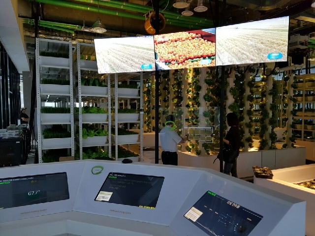 스마트팜 모형_2 대표 이미지