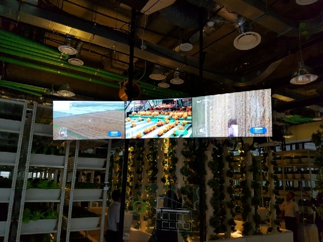 스마트팜 모형_1 대표 이미지