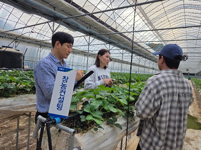 청사졸업생 선도농장 취업컨설팅 대표 이미지